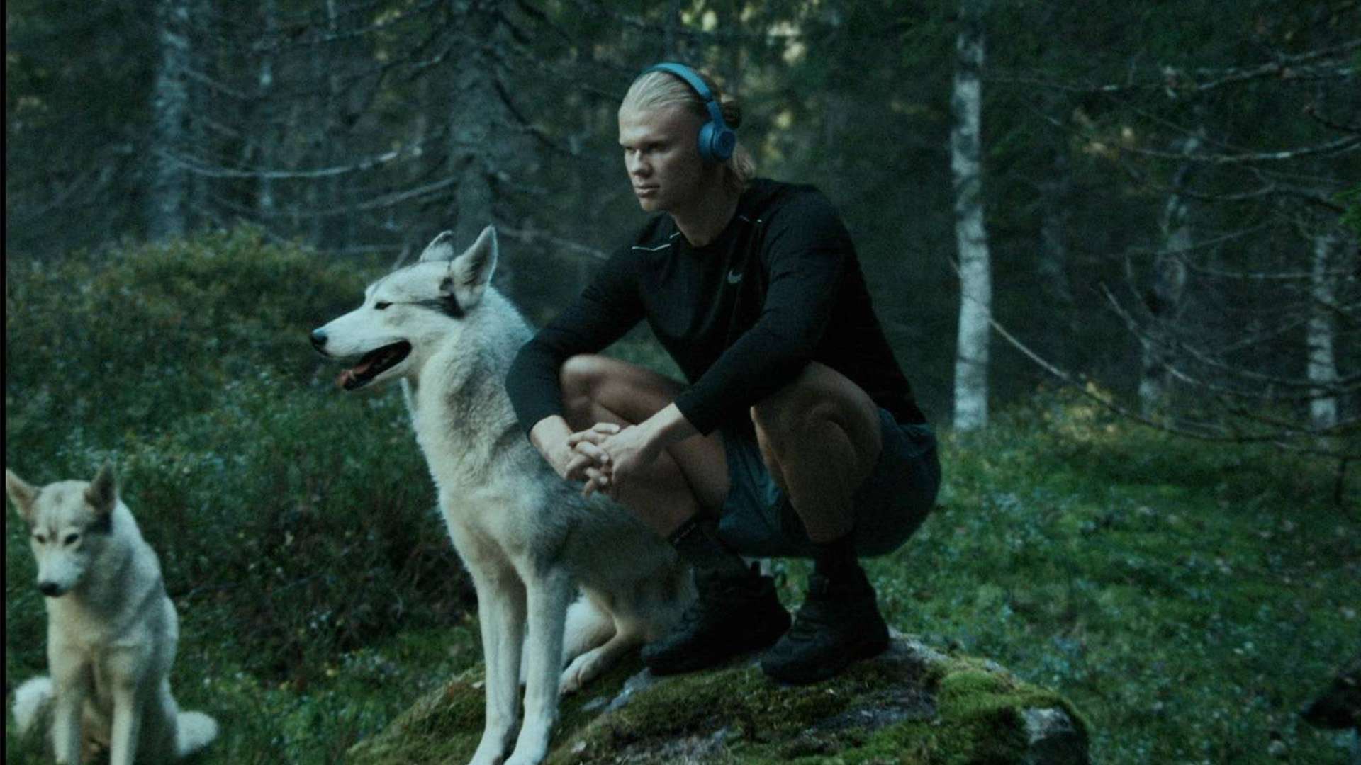 美好前景 美好前景